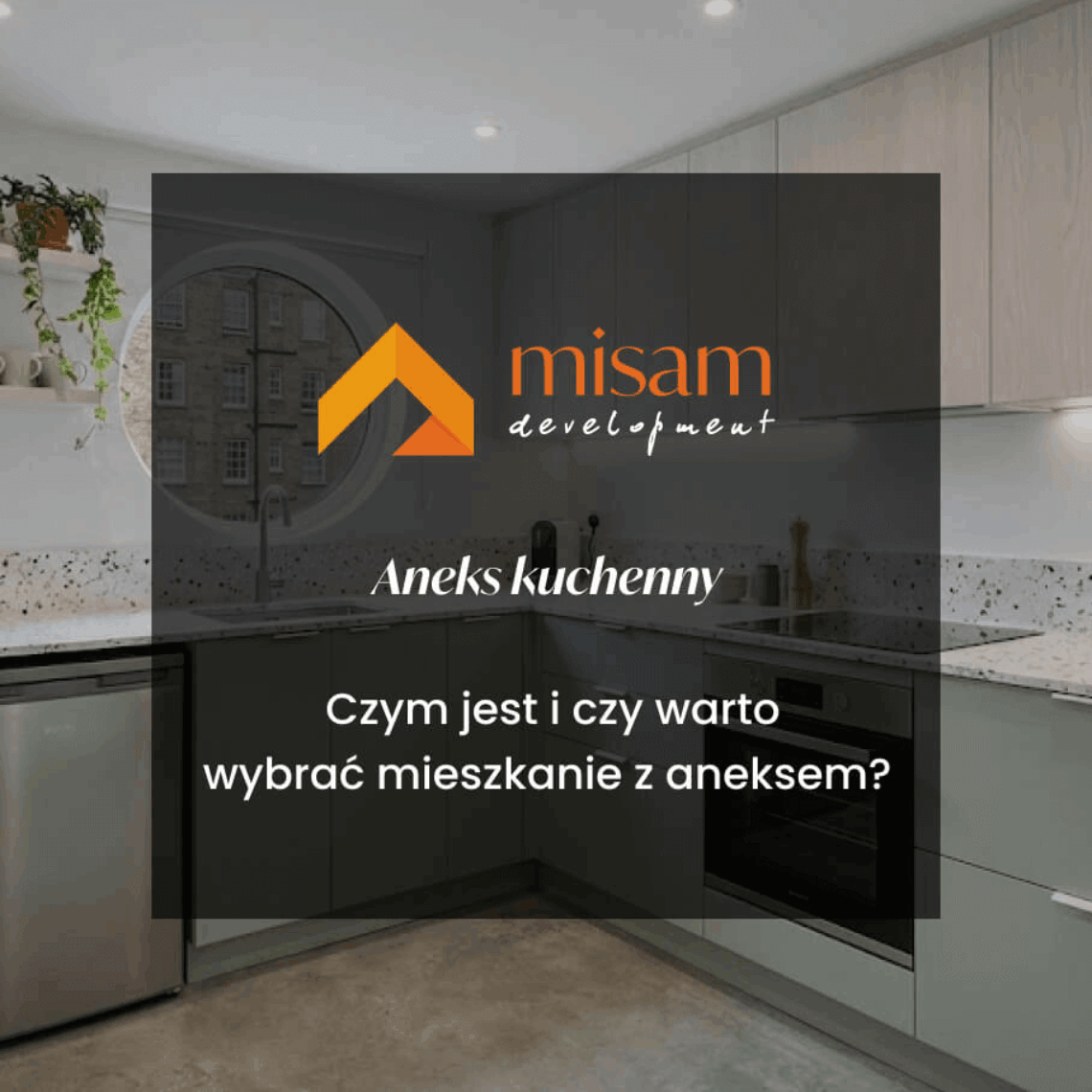 aneks misam development