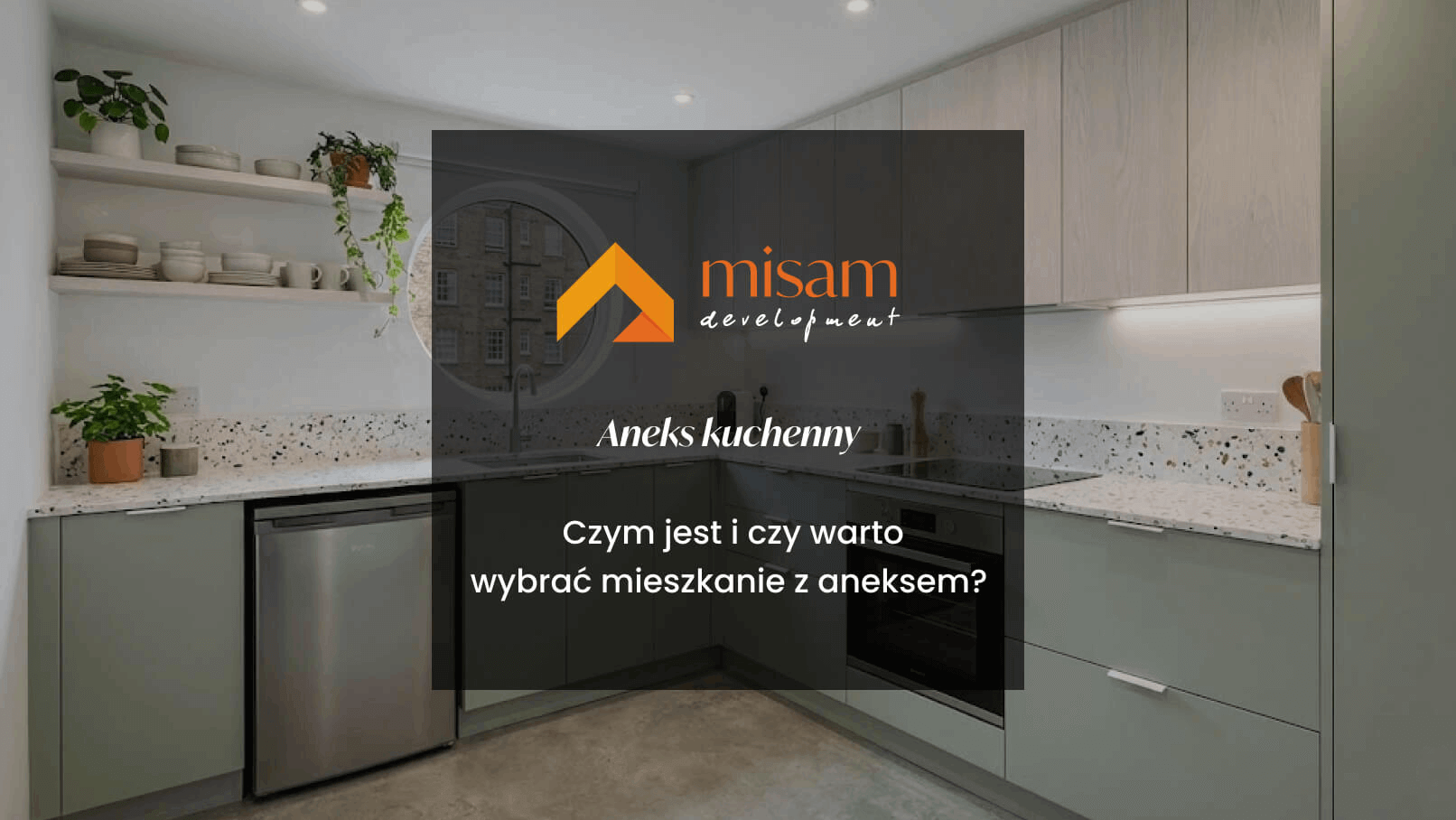 aneks misam development