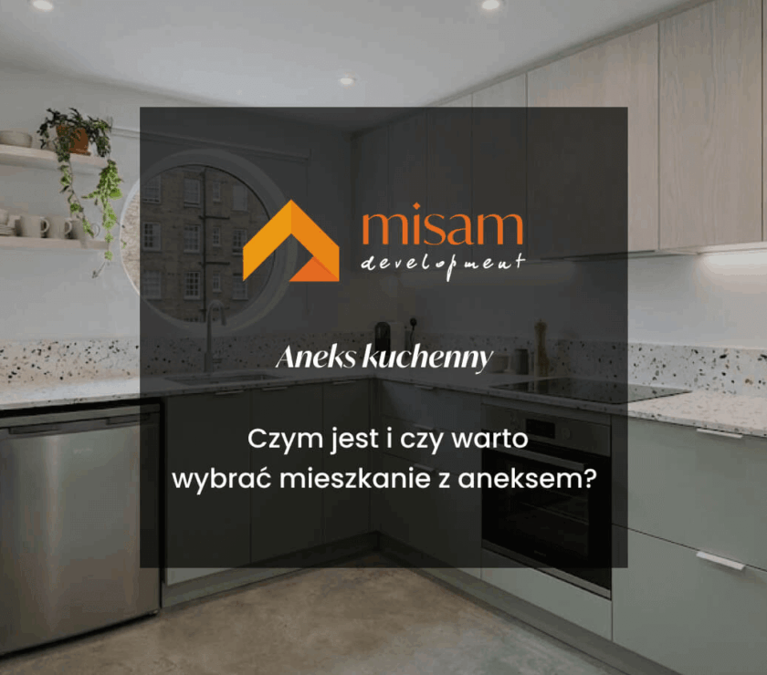 aneks misam development