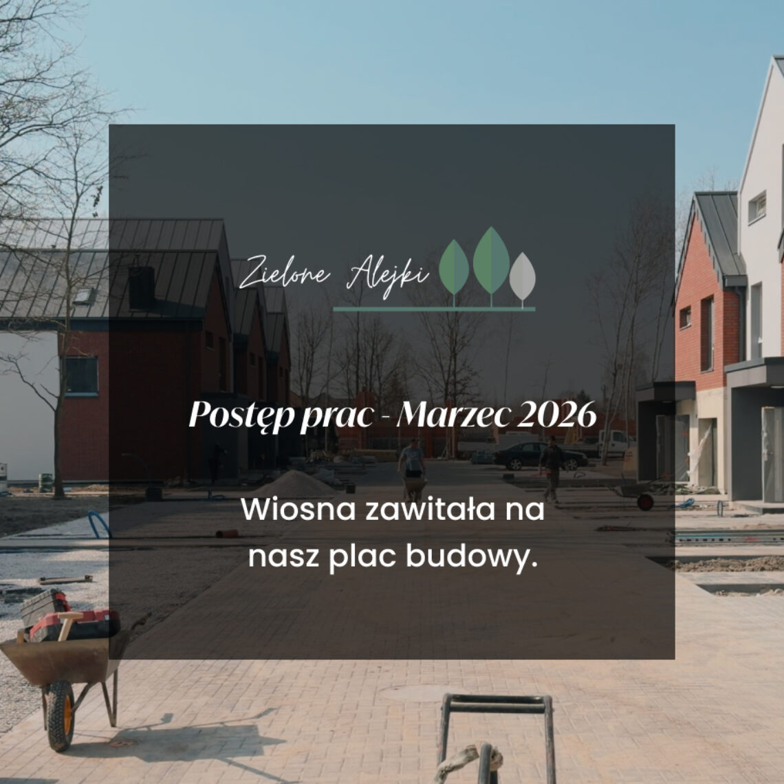 Zielone Alejki - marzec 2026